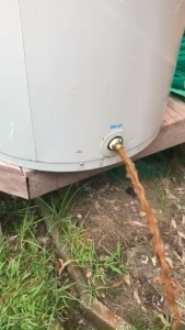 Brown Water From Your Taps?                 
